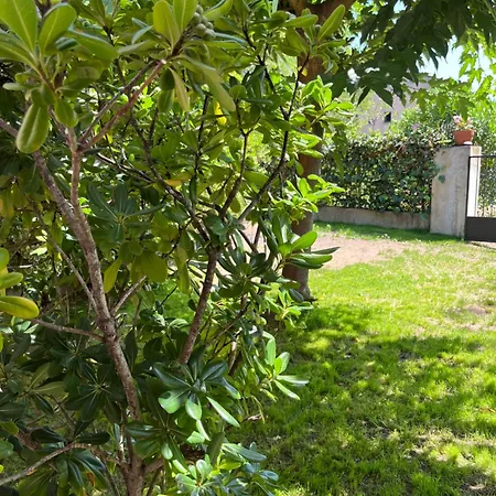Apartmán Acula Marina *
